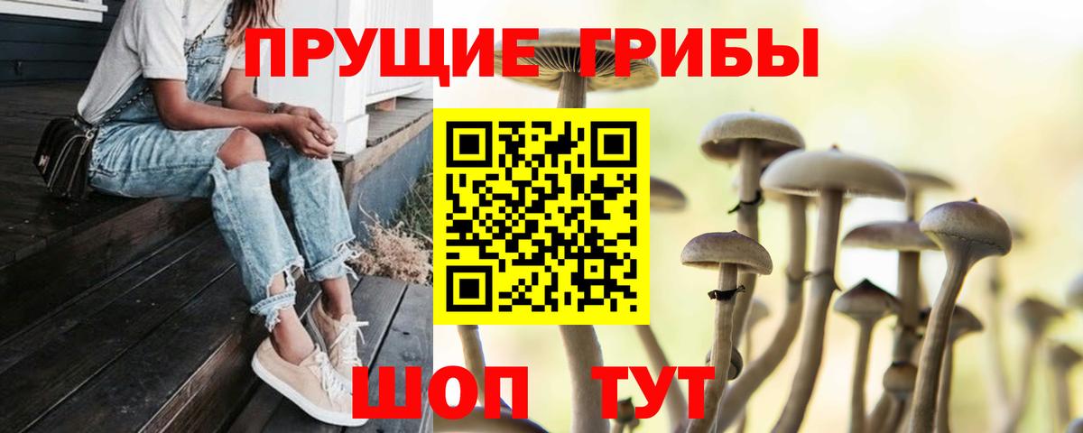 Шебекино  Псилоцибиновые грибы GOLDEN TEACHER  Вход с VPN 